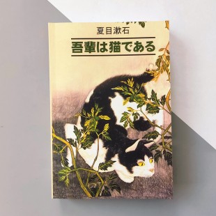 Роман "Ваш слуга кіт" - Нацуме Сосекі